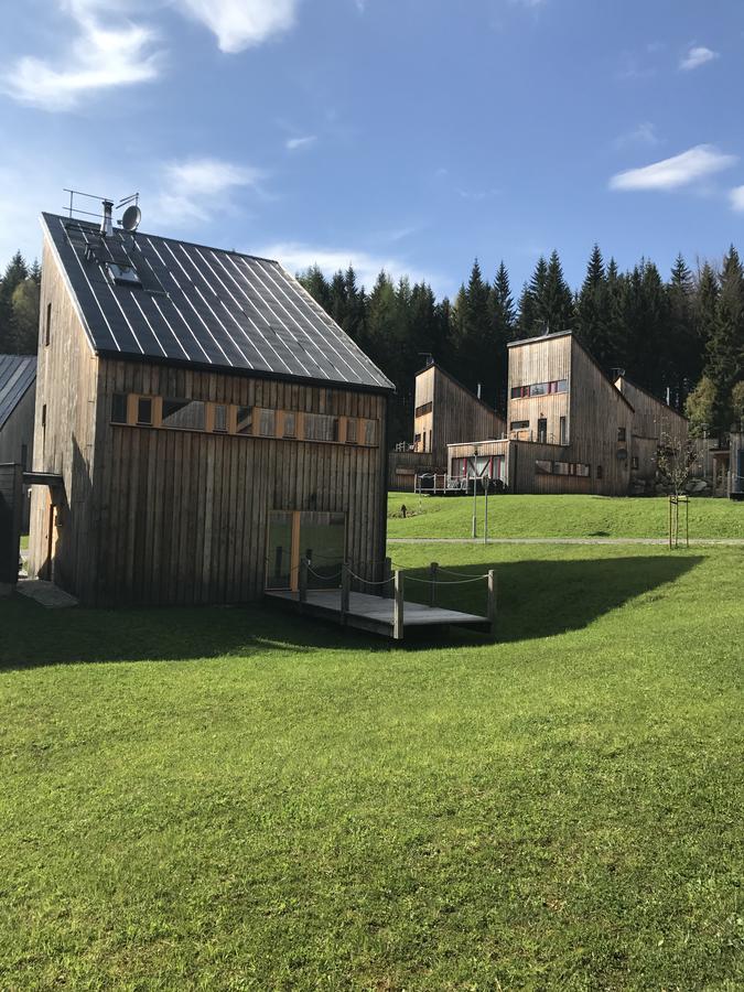 Вілла Chalet6Harrachov Se Saunou Екстер'єр фото