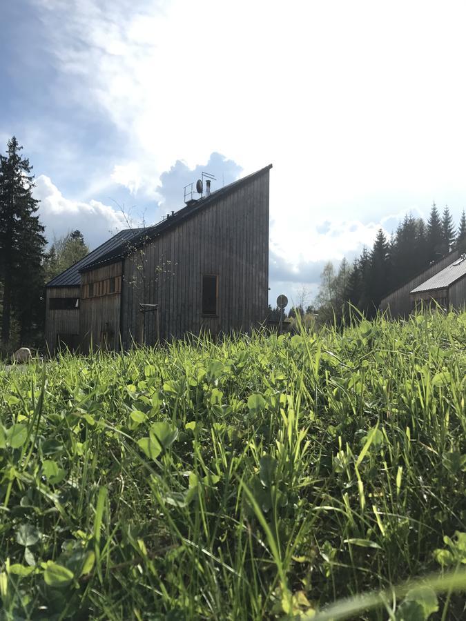 Вілла Chalet6Harrachov Se Saunou Екстер'єр фото