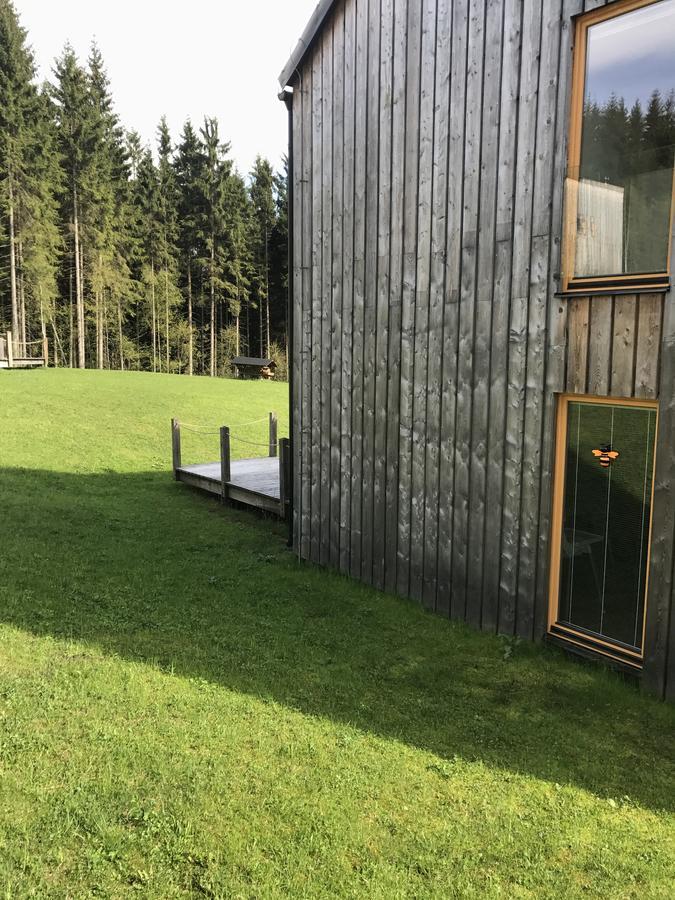 Вілла Chalet6Harrachov Se Saunou Екстер'єр фото